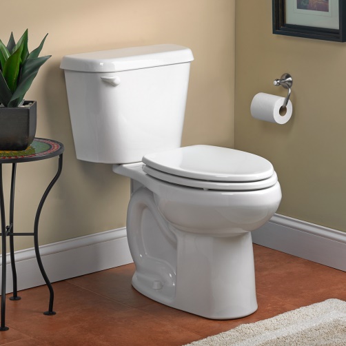 standard trap toilet