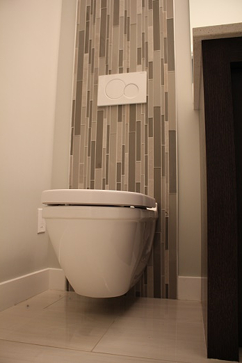 wall hung toilet